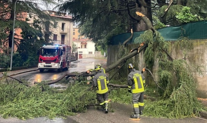 Maltempo: pianta caduta a Lecco, intervengono i Vigili del fuoco. La Protezione civile emette l’allerta meteo arancione