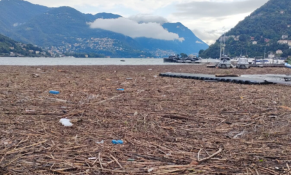 Detriti nel Lago: sospesa la navigazione rapida