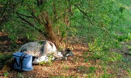 Pescarenico. Il parco Addio Monti in balia degli incivili, tra immondizia e monopattini abbandonati