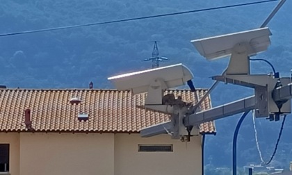 Calolzio, dietro la telecamera che sorveglia il traffico... spunta un nido di colombi