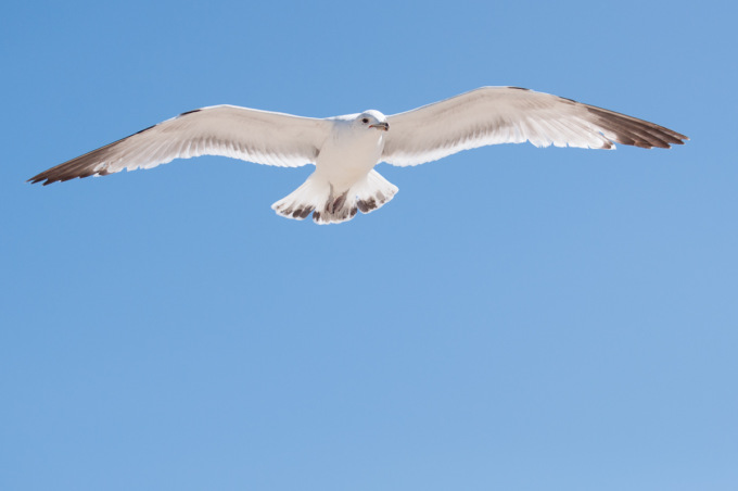 Forum Salute Mentale di Lecco festeggia i 10 anni