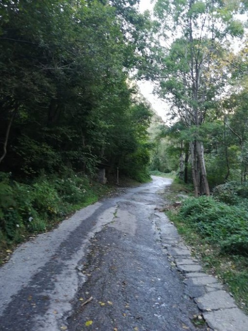 Investito da una bici elettrica: si cerca il responsabile