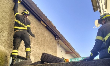 Intrappolato sotto una grondaia, gattino salvato dai Vigili del fuoco - LE FOTO