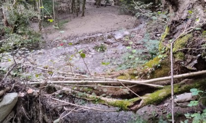 Scende acqua marrone dal torrente Serta: individuato uno smottamento nell'alveo