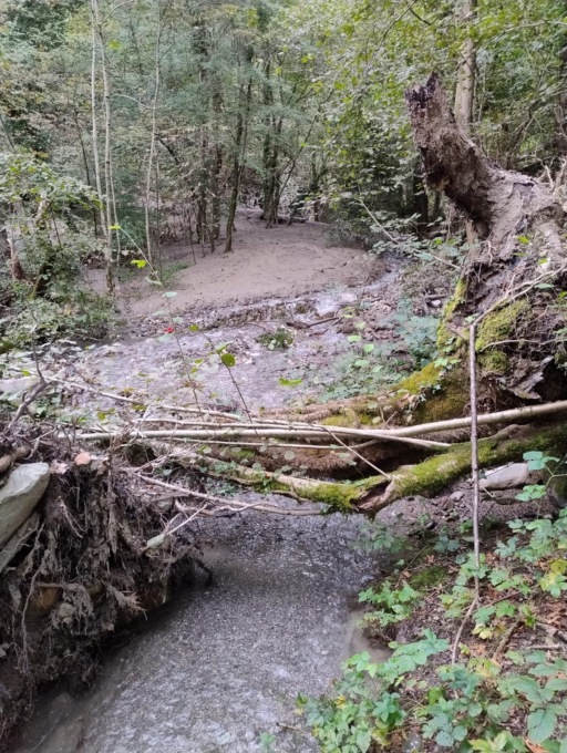 Scende acqua marrone dal torrente Serta: individuato uno smottamento nell’alveo