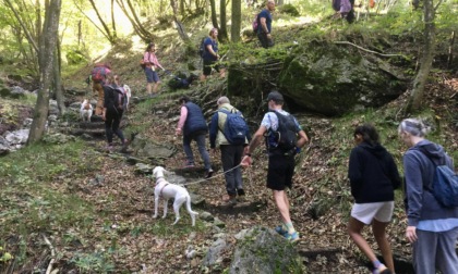 Cai Lecco, un successo per "In montagna a quattro zampe". Sabato la replica