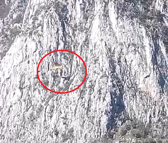 Scarica di pietre sulla Ferrata Medale: soccorsi in azione