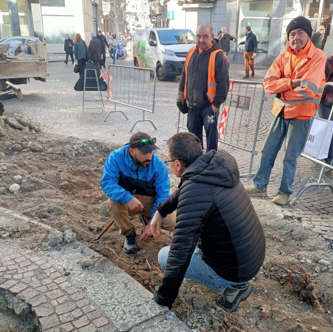 Pini del Cantun di Ball: iniziate le analisi