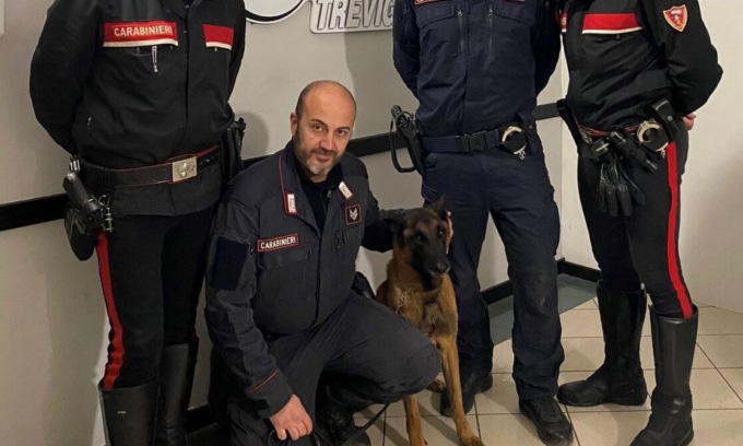 Omicidio di Pontirolo: è di Casatenovo l’unità cinofila che ha ritrovato l’arma del delitto