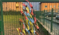 A Valmadrera spunta un albero di Natale "speciale" per invitare a raccogliere le deiezioni canine