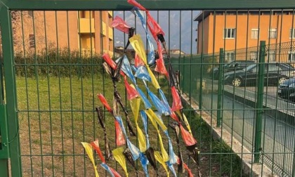 A Valmadrera spunta un albero di Natale "speciale" per invitare a raccogliere le deiezioni canine