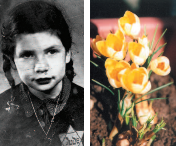 Lecco: fiori per ricordare i bambini uccisi dal nazifascismo