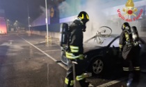 Decine gli interventi dei Vigili del Fuoco su tutto il territorio - TUTTE LE FOTO