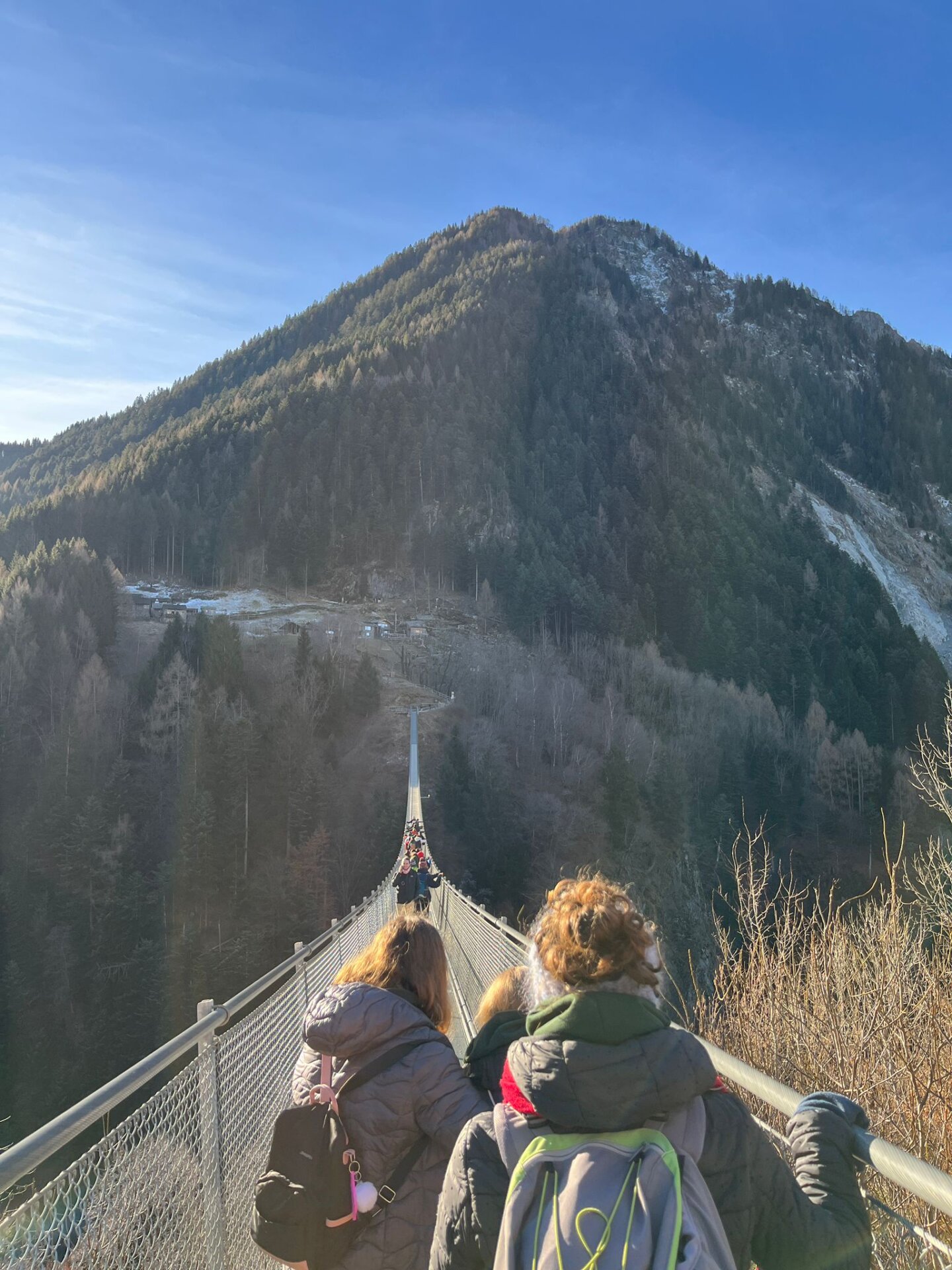 Il ponte tibetano della Val Tartano