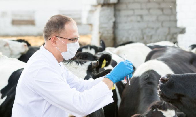 “Veterinario vittima di un tentativo di strangolamento e accoltellamento”