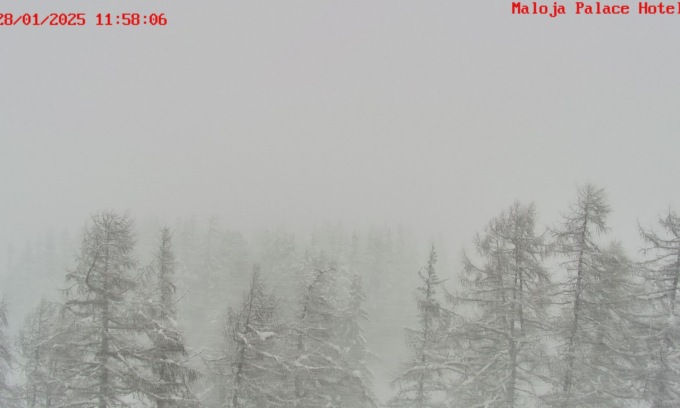 Precipitazioni nevose, chiusi i Passi del Maloja, Bernina e Foscagno