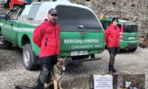 Bocconi avvelenati: a scoprirli è stato il cane Senna