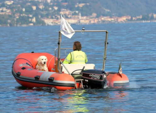 Addio a Artù, il cane bagnino eroe che ha salvato molte vite sul Lario