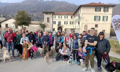 Fiera di San Giuseppe a Valgreghentino: un'intera giornata di divertimento e tradizione