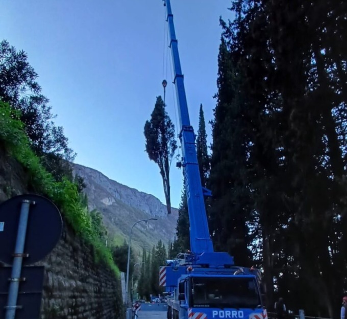 Villa Monastero: abbattuti 11 alberi