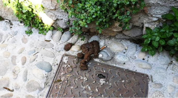 “Dacci un taglio!”: l’appello salva-parchi contro le deiezioni canine ad Abbadia