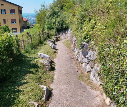 Immagine 2025-05-03 115532