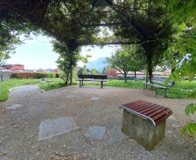 Immagine 2025-05-03 115723