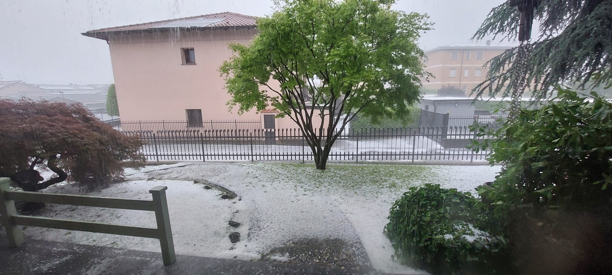 Immagine WhatsApp 2025-05-21 ore 17.05.31_44835f96