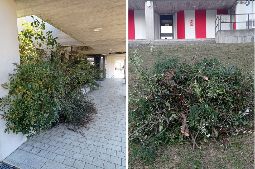 Manutenzioni - Palazzetto Sport