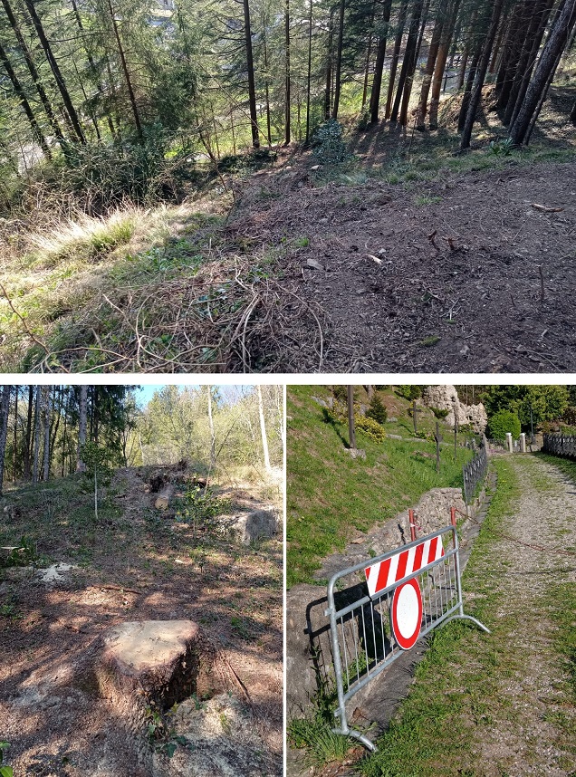 Manutenzioni -Pineta Biancolina (1)