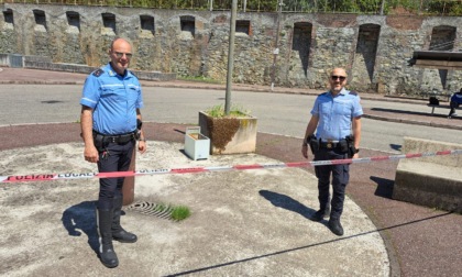 Ventimila api invadono l'interscambio, fatte "sgomberare" dalla Polizia locale