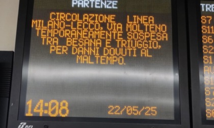 Maltempo e rami sulla ferrovia: interrotta la circolazione dei treni
