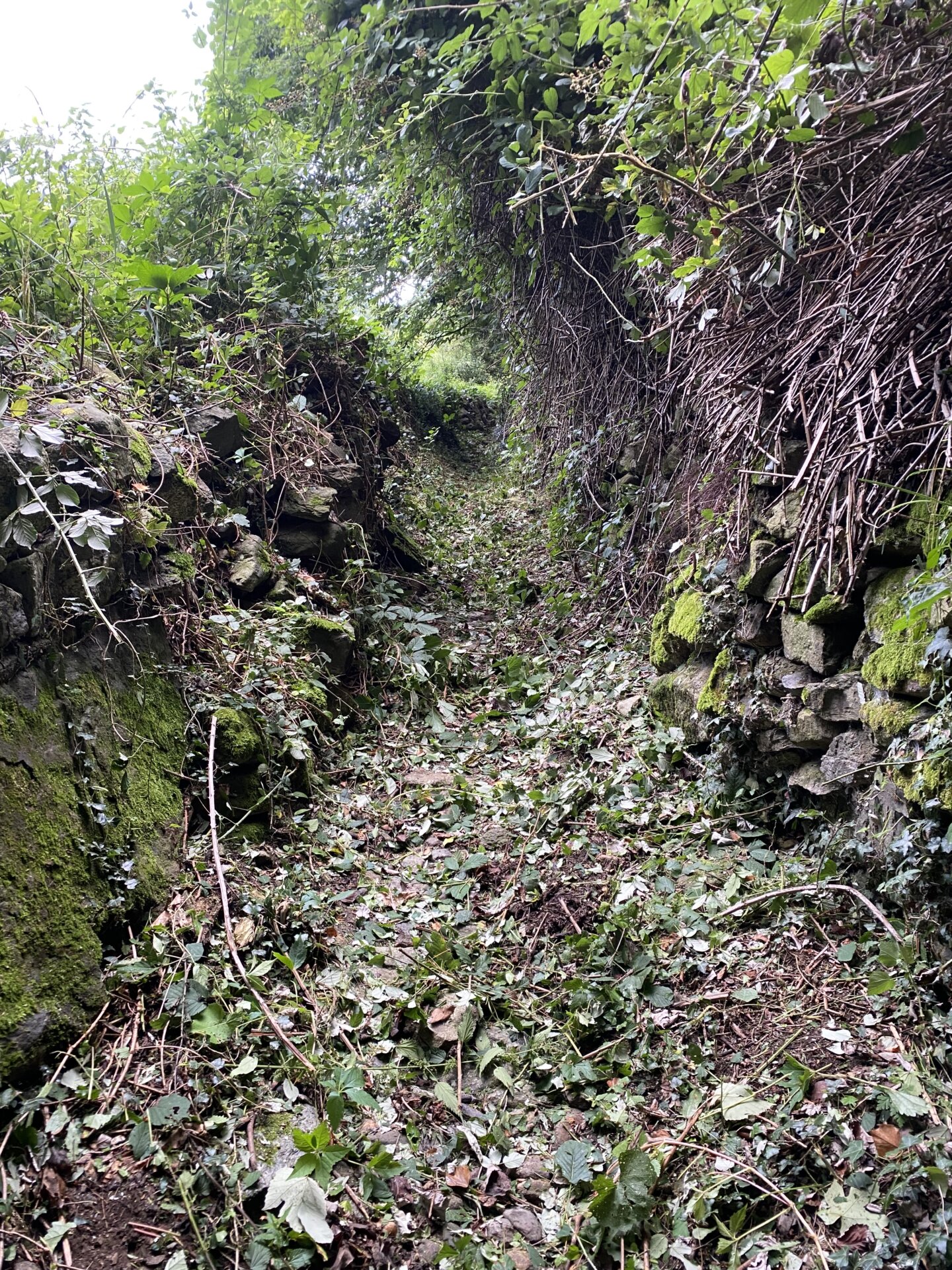 cai antichi sentieri 3