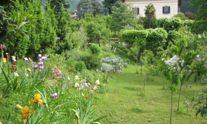 Comunità Montana celebra la Giornata Mondiale dell’Ambiente 2025 al Giardino Botanico di Calolziocorte