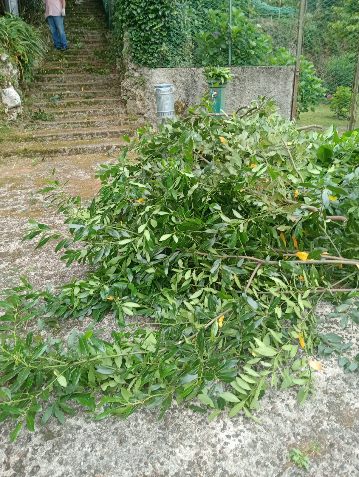 WhatsApp Image 2025-06-21 at 09.05.45