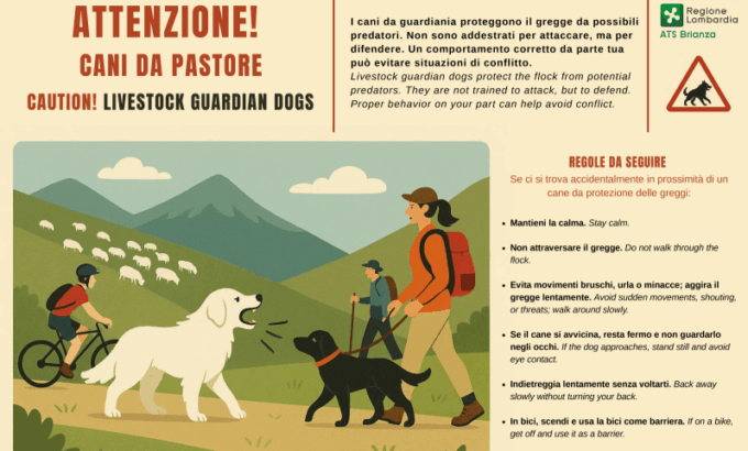 “Attenzione! Cane da pastore”: la campagna di Ats Brianza per vacanze sicure sulle montagne