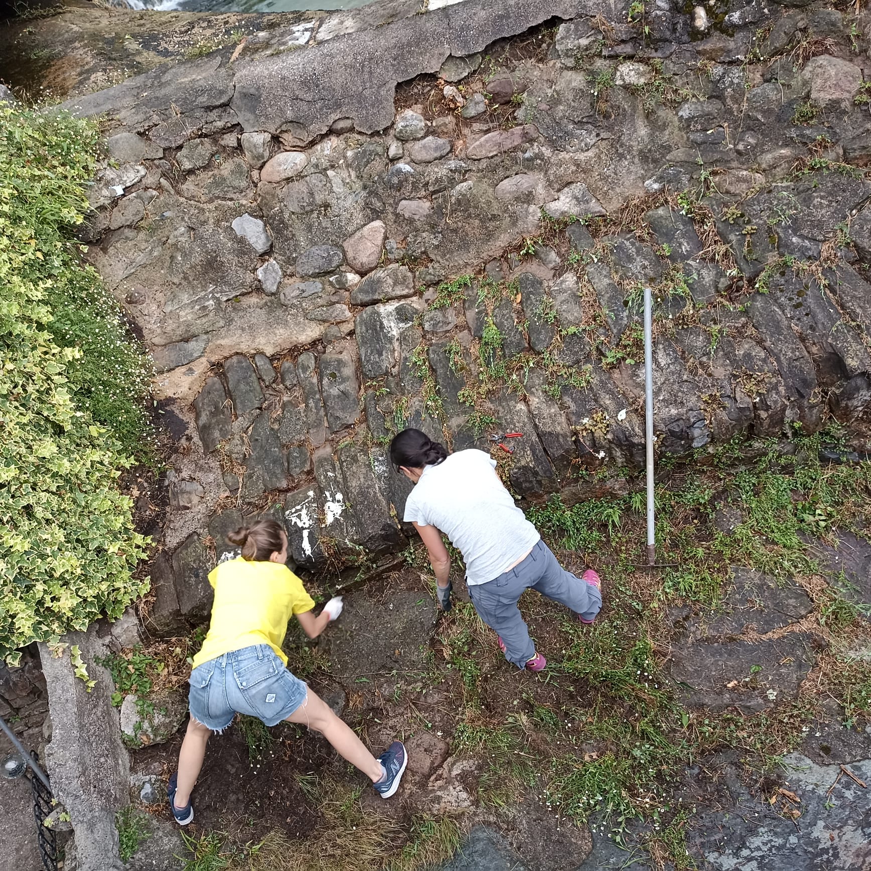 IMG-20250702-WA0018