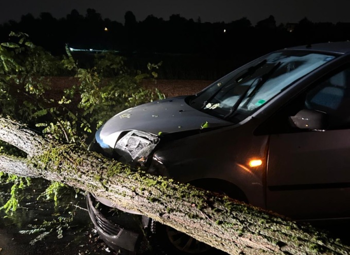 Maltempo e paura: albero crolla su auto in transito