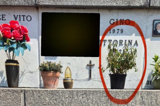 Rubano i fiori al cimitero e in cambio ne lasciano altri… appassiti