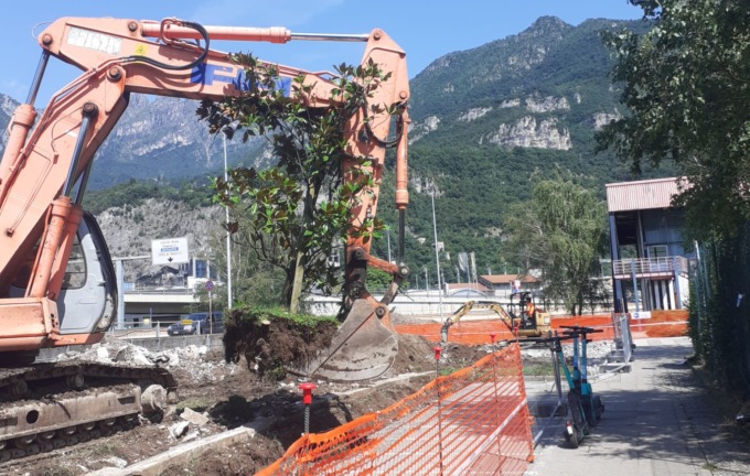 “Rimossa la magnolia dedicata al compianto Corbetta al Bione”, la denuncia di Appello per Lecco