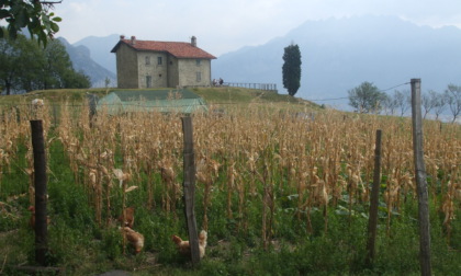 Piani Resinelli e San Tomaso: via ai nuovi interventi di riqualificazione ambientale e infrastrutturale