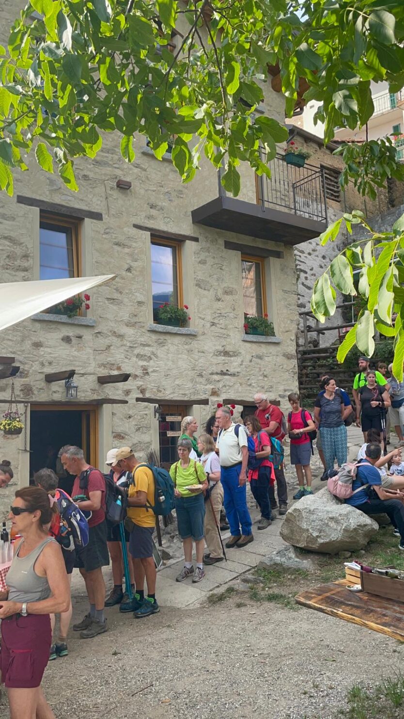 le-voci-delle-alpi-12-07-15-834x1483
