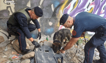 Colico, blitz nei boschi: Carabinieri smantellano tre postazioni di spaccio
