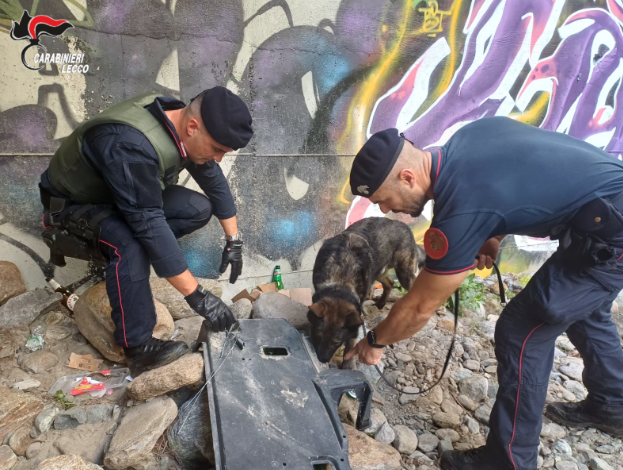 Colico, blitz nei boschi: Carabinieri smantellano tre postazioni di spaccio
