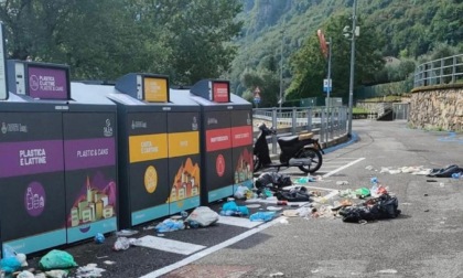Onno, rifiuti sparsi davanti all'area cassonetti. I responsabili? Una famiglia di cinghiali
