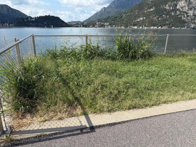 Angela Fortino: “Il lungolago abbandonato a se stesso”