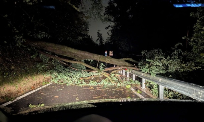 Maltempo. Albero caduto a Torre de’ Busi, residenti senza corrente