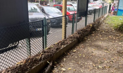 Lecco, Piazza: "Parco V Alpini ancora nel degrado dopo il nubifragio"
