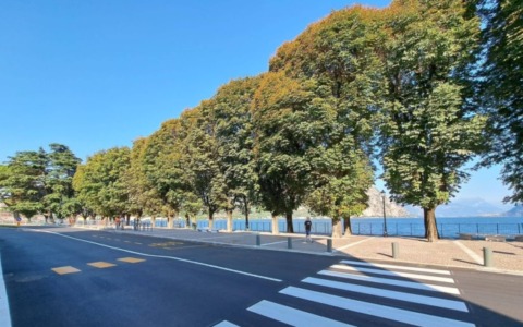 Lecco: in Commissione il futuro del verde urbano, dibattito acceso su potature e sicurezza