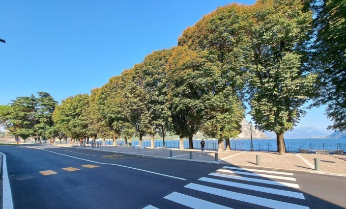 Lecco: in Commissione il futuro del verde urbano, dibattito acceso su potature e sicurezza